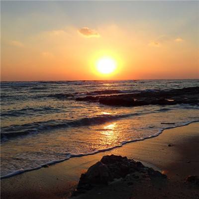 管家婆一码一肖资料大全下载手机版